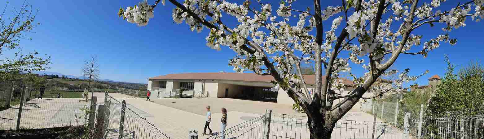 ecole_bandeau_printemps_7.jpg Thumbnail